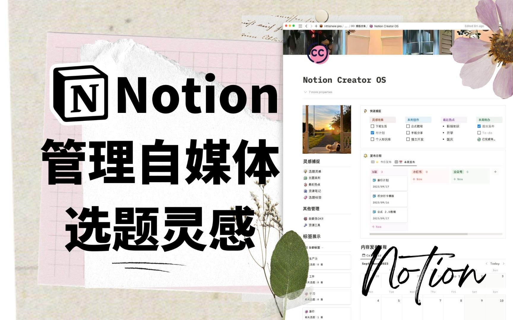 notion image